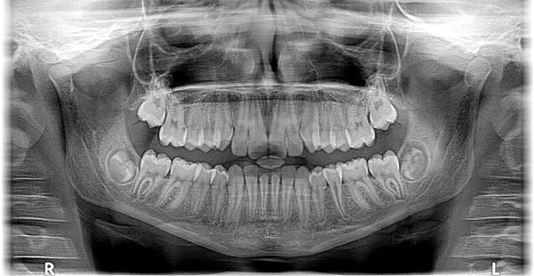 ortodonta żywiec